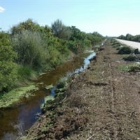 Emaya inicia la limpieza de los torrentes de la Síquia y el Siquió