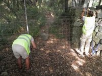 El Consejo Ejecutivo del Consell de Mallorca aprueba un programa para la recuperación de caminos públicos