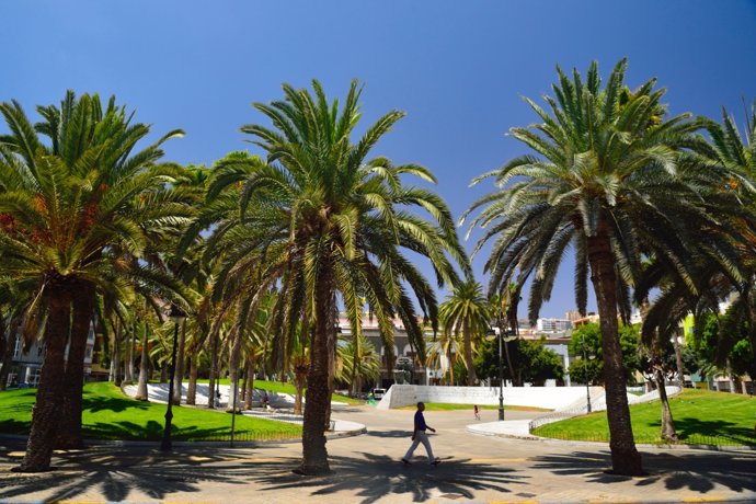 Plaza de la Feria de Las Palmas de Gran Canaria