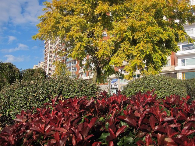 Otoño en Santander                  