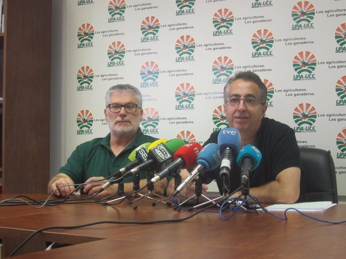UPA-UCE Extremadura reclama que los contratos del pimentón se firmen en marzo