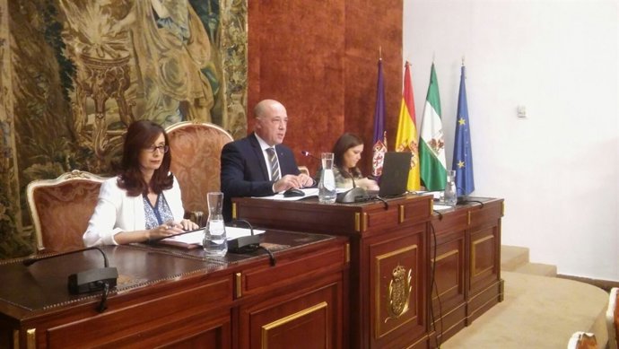 Antonio Ruiz preside el Pleno de la Diputación