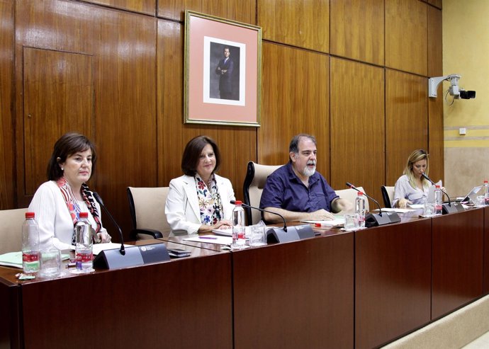 La consejera María José Sánchez Rubio comparece en la comisión de Igualdad