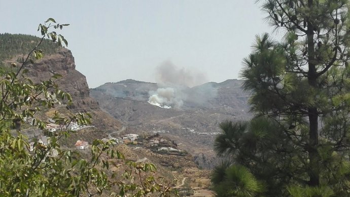 Conato de incendio en Tejeda