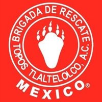 Tres décadas después, los 'topos' vuelven a los escombros en su natal Ciudad de México