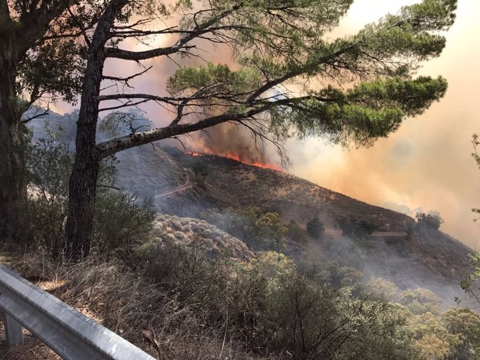 Incendio en Tejeda (Gran Canaria)