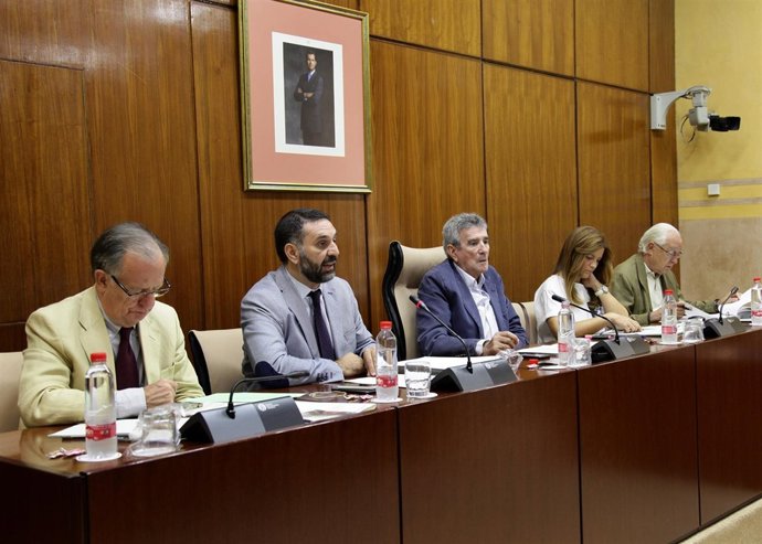 Comisión de Turismo, en el Parlamento de Andalucía.