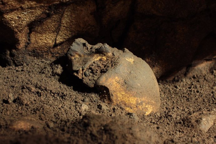 Cráneo localizado en la Cova del Randero