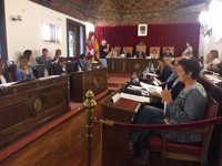 Diputación de Valladolid pide control sobre la procesionaria del pino