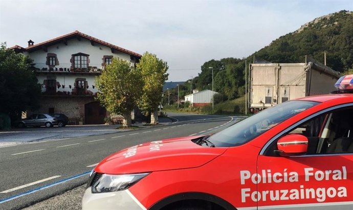 Camión inmovilizado por la Policía Foral en la N-121-A