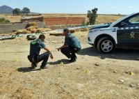 Detenido en Mallorca al presunto autor de los disparos recibidos por un joven en Acedera (Badajoz)