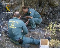 TS confirma la condena de 10 años de prisión al guardia civil pirómano que provocó 20 incendios en Madrid en 2013