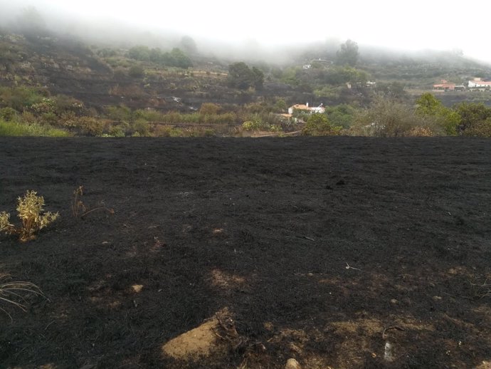 Terreno quemado durante el incendio de Gran Canaria