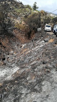 El incendio de Gran Canaria continúa estabilizado y quedan dos sectores por tener bajo control