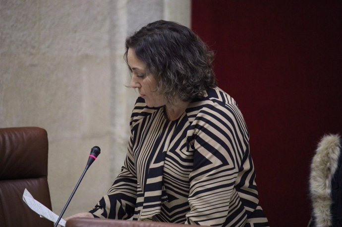 La parlamentaria de IULV-CA María del Carmen Pérez 