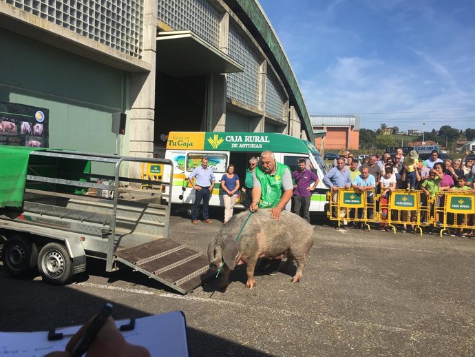 Ejemplar ganador con su cuidador.