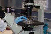 Este martes se abre el plazo para solicitar ayudas para proyectos de investigación científica