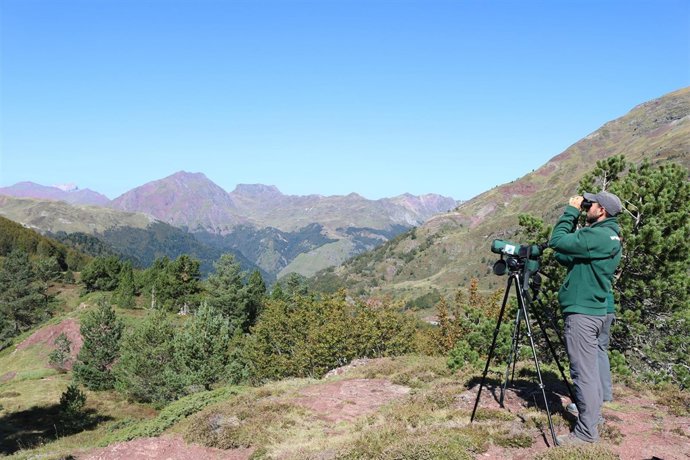 Técnicos de campo de SEO/BirdLife observando las aves