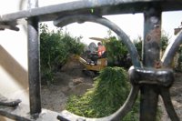 Iniciada la exhumación de la fosa de Montuïri, donde se cree que pueden estar los cuerpos de cuatro vecinos de Campos