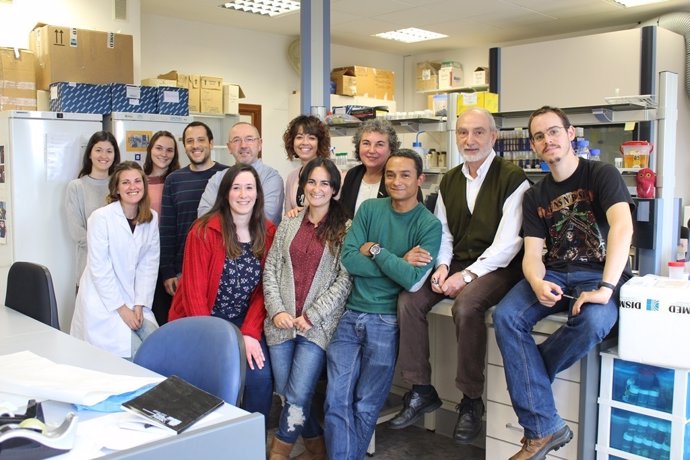 Investigadores de la Universidad de Oviedo sobre el fondo marino