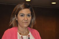 Gaspar (Cs) propone que todas las instituciones apoyen las actuaciones contre "el golpe a la democracia"