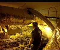 Sucesos.- Detenidas tres personas por cultivar marihuana en una vivienda de La Roda de Andalucía