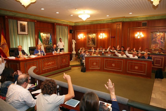 Pleno del Ayuntamiento de Marbella 