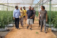 El Govern destinará seis millones de euros a la agricultura integrada en cinco años