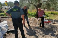 Cinco detenidos, dos de ellos veterinarios, implicados en una trama de robo de perros en la provincia de Cáceres