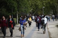 Más de 17.000 estudiantes solicitan la beca universitaria del Gobierno de Canarias