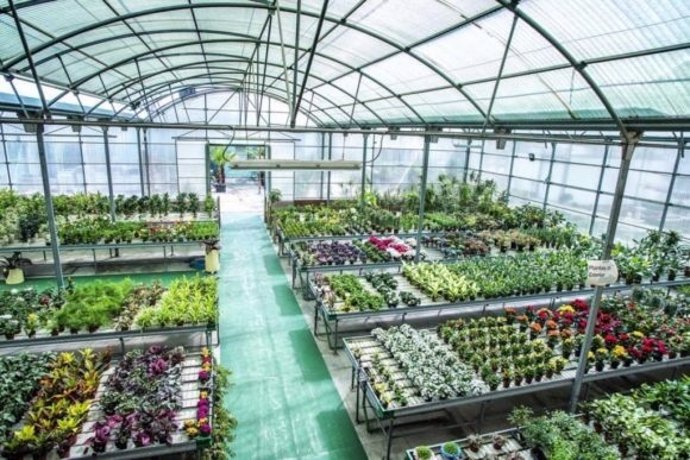 Vivero de Torremolinos plantas muestras convertir centro especial empleo natural