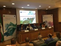 La Junta anima a las empresas a concurrir a las nuevas ayudas de IDEA y consolidar un sector sólido