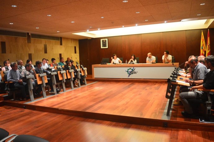 Pleno de la Comarca Comunidad de Teruel