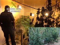 Desarticulado un clan familiar presuntamente dedicado al tráfico de drogas en el norte de la provincia de Cáceres