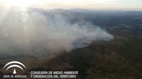 El Infoca extingue el incendio forestal de Ronda en la zona no militar