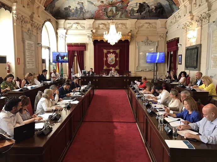 Pleno de Málaga. Junio 