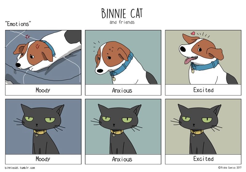 7 diferencias entre perros y gatos explicadas con divertidos dibujos