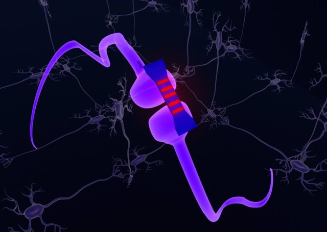 Imagen de una sinpasis fotónica en una red neuronal