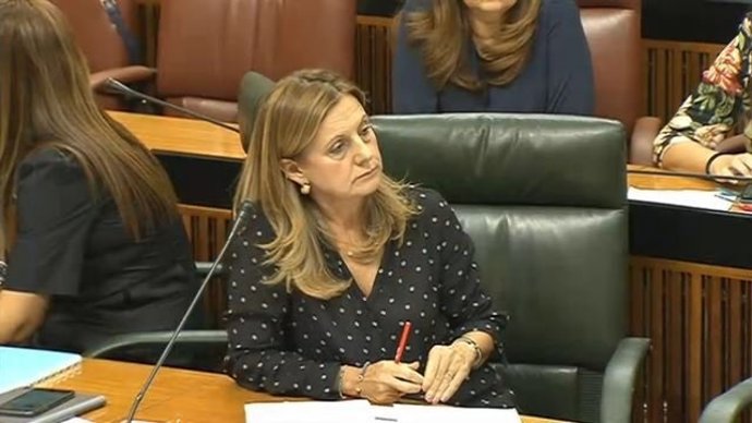 La consejera de Salud, Marina Álvarez