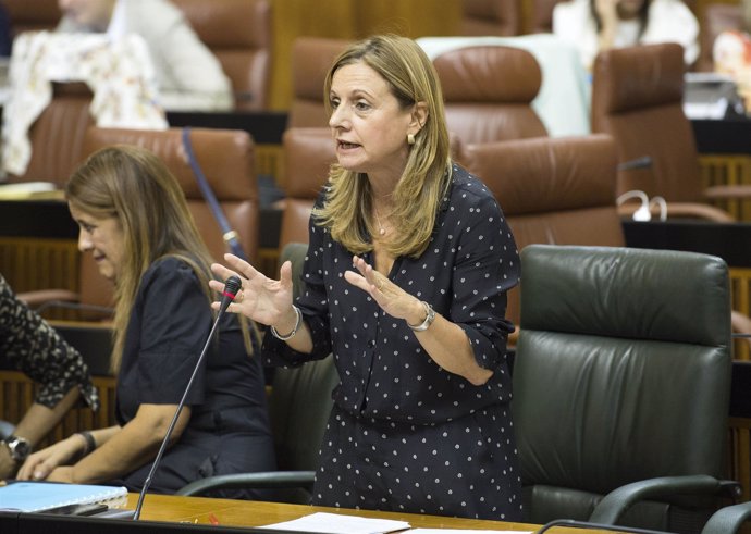 La consejera de Salud durante una intervención en el Pleno