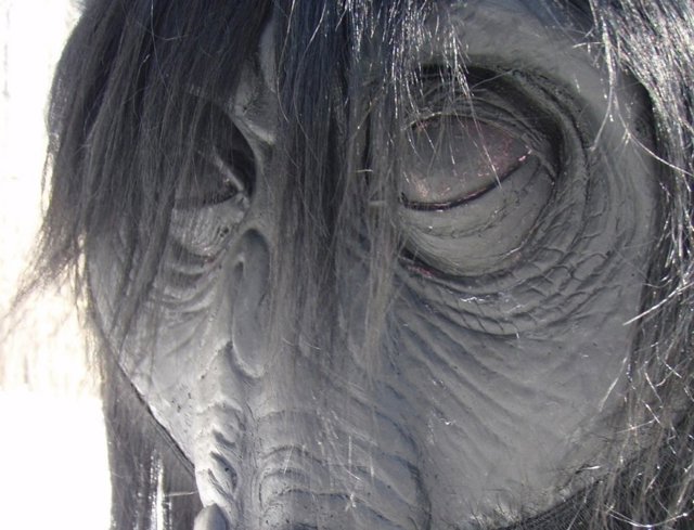 Monstruos de leyenda en Dmax