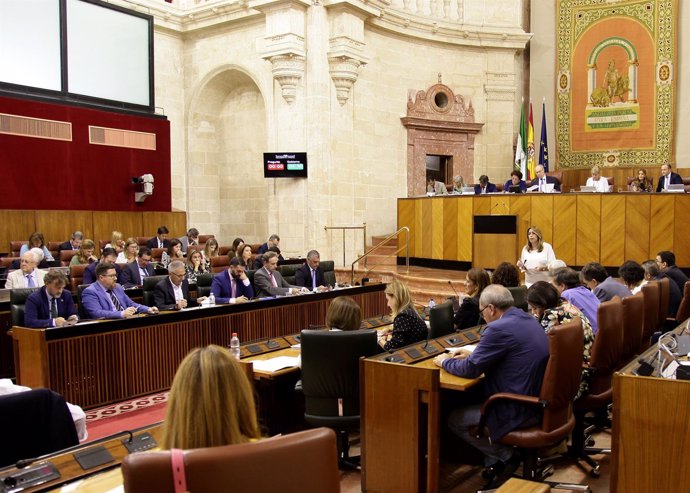 Pleno del Parlamento andaluz