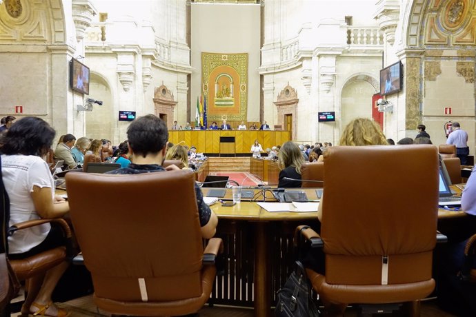 Imagen del Pleno del Parlamento andaluz