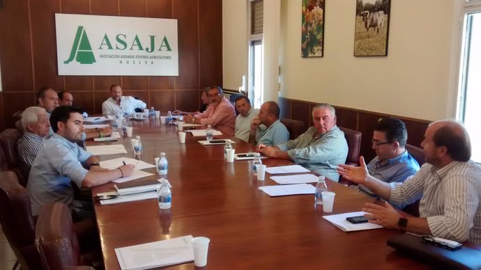 Comité ejecutivo de Asaja-Huelva. 