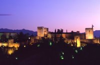 El azafrán regresa a la Alhambra de Granada de la mano de la Universidad de Córdoba