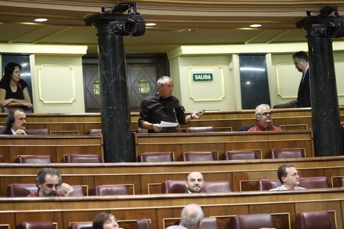 Joan Baldoví habla desde su escaño en el Congreso