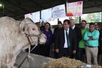 La Feria Internacional Ganadera de Zafra arranca como "escaparate nacional e internacional" del sector agroganadero
