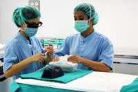 Satse pide más enfermeras en el SNS para evitar que emigren a otros países