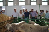 Monago critica que el PSOE "habla de modificar el Impuesto de Sucesiones" y luego "vota que no" en la Asamblea