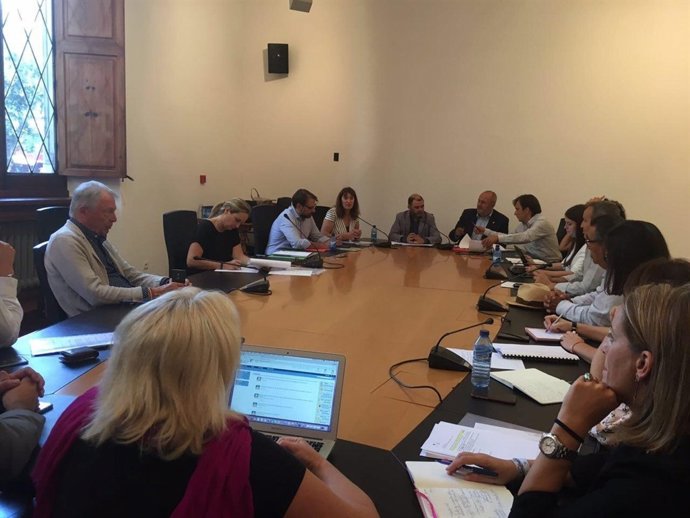 Reunión Consell de Mallorca 